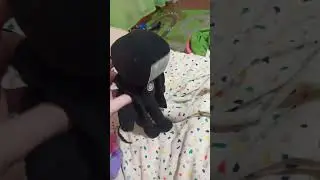 титаны против титана