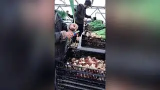 Gul biznes qilish uchin nima qilishkerk