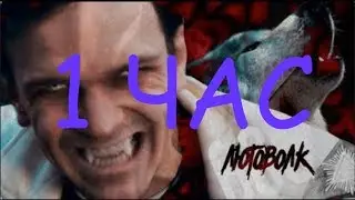 ЛАРИН — ЛЮТОВОЛК  (1 ЧАС)