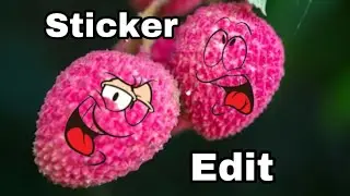 কীভাবে এই ক্রিয়েটিভ ছবি এডিট করতে পারবেন || Stickers Photo Editing Tutorial || Creative Looks