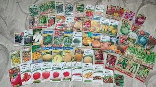 Seeds for 2022. Selection of seeds 