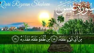 Qari Rizwan Shaheen .-. Beautiful Quran Al Kareem .-.سورۃ عبس