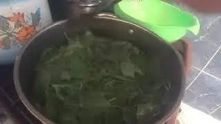 Амарант (щерица) по селянски  вкуснее мяса и питательнее уникальный протеин мышцы растут  быстро