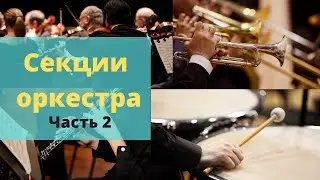 Секции оркестра + примеры FL studio