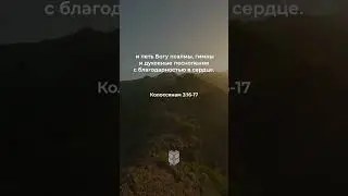 Колоссянам 3:16-17 в современном переводе #библия #biblevision