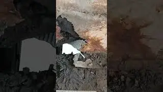 9 августа 2024 г.