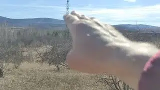 КРАСНОЯРСК УБИЙСТВЕННАЯ ЗАСТРОЙКА ГОРОДА ..УНИЧТОЖЕНИЕ ПРИРОДЫ ..