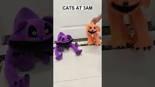 Cats at 3am #insideout2