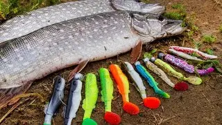 🐟 ПРИМАНКИ ДЛЯ ЛОВЛИ ЩУКИ