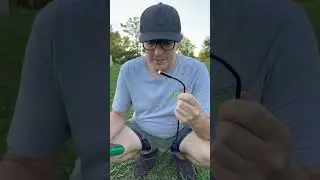 We Stuck a Camera Inside a Giant Hornet Nest! 