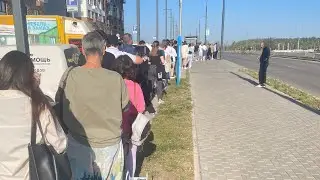 Общественный транспорт в ЖК Пригород Лесное 🏙️  . Мой личный опыт .