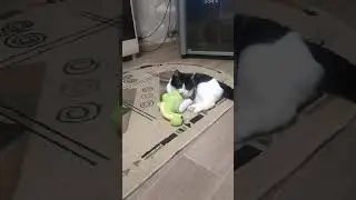 Дракоша повержен💪🐱ты следующий😺🤣 