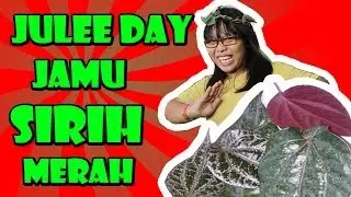 JULEE DAY Jamu Sirih Merah