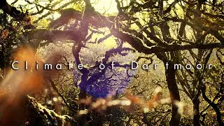 The Wonderfully Unique Climate of Dartmoor National Park - Nature Documentary