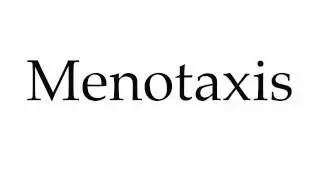 How to Pronounce Menotaxis