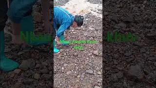 kev nrhiav noj