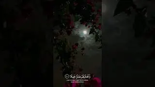 واصبر على مايقولون واهجرهم هجرا جميلا 🤍