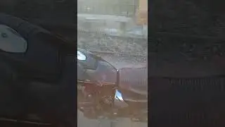 Весна 2023