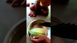 Bonkame tee chachotnani video // Green vegetable // any pm tv