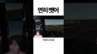 이 사람 면허 당장 압수해!!!!!!