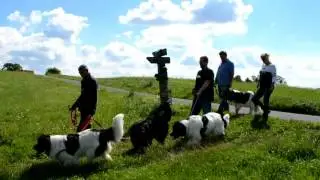 3. Neufundländer Wanderung am Edersee 2017