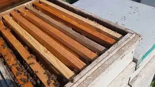 Отводки спустя 2 месяца