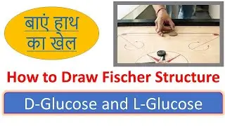 How to draw structure of D-Glucose and L-Glucose (Fischer Projection) || TRICK