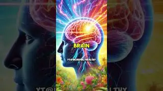 Top 10 foods to eat for brain boost to increase brain power #Shorts #youtubeshorts #youtubetrending