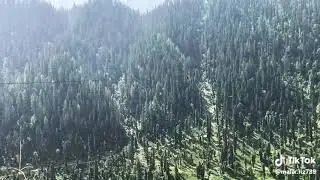 Thousands Of Feet Hight From River Neelam | Nature Status