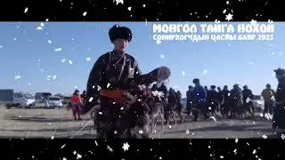 Тайга нохой цасны баяр цугларалт