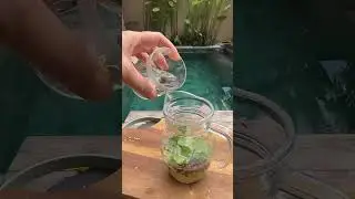 📽️ ❤️УБОЙНОЕ СРЕДСТВО❤️