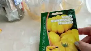 Томат Загадочный странник (Чесночный) и другие...