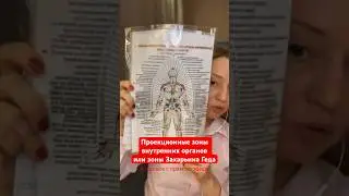 👀Проекционные зоны внутренних органов на теле. Отрывок из «Разбор психотерапевтических историй»