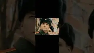 ветеринар вспомнил молодость