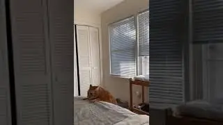 На грани  #приколы