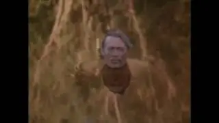 Возвращение с чужбины