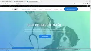 Продвижение сео ветеринар хелп