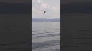 полетели