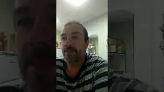 Кленовый чай. Свойства.