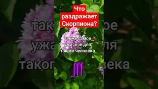 Скорпион характеристика знака зодиака 🦂