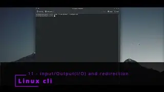 Linux CLI 11🐧 Input/Output and redirection