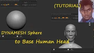 Beginner guide to Zbrush Dynamesh sphere||Human head || Tutorial || Hindi