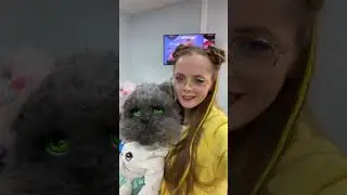 ЧРЕВОВЕЩАТЕЛЬ на передаче «Видели Видео?» 
