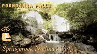 Poondahra Falls, Springbrook National Park - 360°/VR Immersive Experience