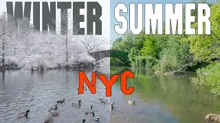 Winter VS Summer NYC