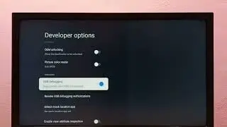 TOSHIBA TV : How to Enable Developer Options and USB Debugging Mode | Android TV | Google TV