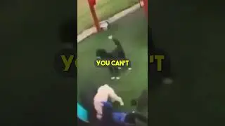 Man Gets Attacked By Multiple Dogs | Wholesome Content 