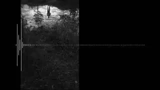 Troild - Ya