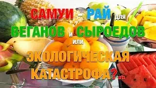 САМУИ - РАЙ для ВЕГАНОВ и СЫРОЕДОВ ...или ЭКОЛОГИЧЕСКАЯ КАТАСТРОФА - ОСТРОВ из ПЛАСТИКА в ОКЕАНЕ