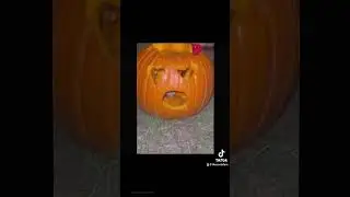 HAPPY HALLOWEEN 🎃 👻